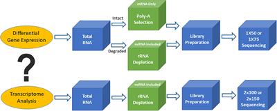 Changing Technologies of RNA Sequencing and Their Applications in Clinical Oncology